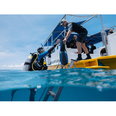 SDI Open Water Diver