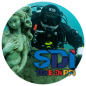 SDI Deep diver SDI Deep diver