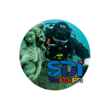 SDI Deep diver