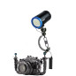 VL36000-PBRC VL36000-PBRC