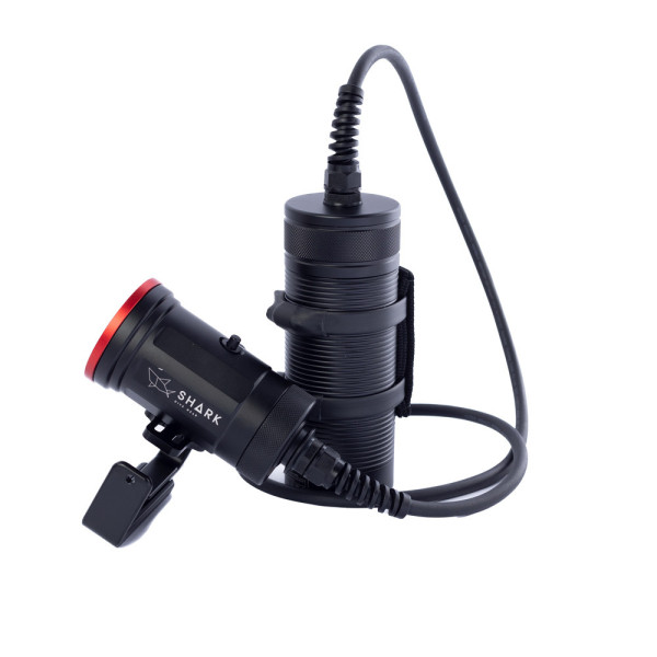 Primárne Svetlo Shark Artemis