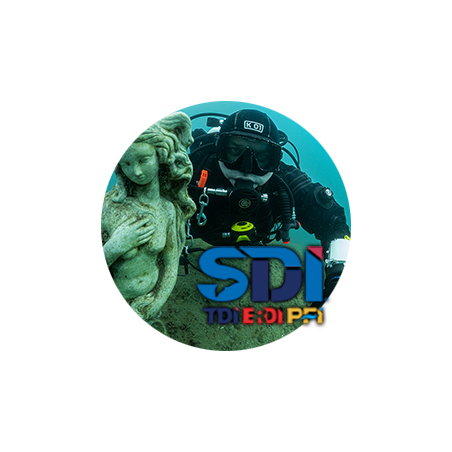 SDI Deep diver