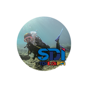 SDI Future buddies