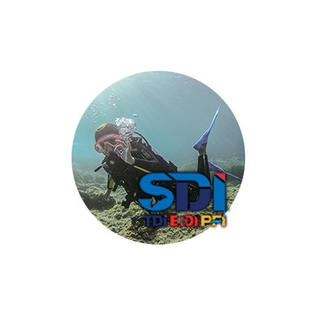SDI Future buddies